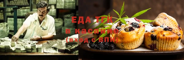 гидра Инта