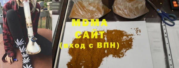 гидра Инта