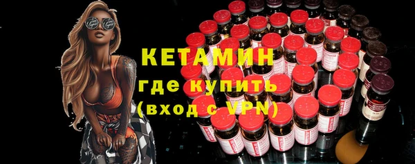 гидра Инта