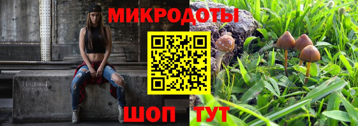 Галлюциногенные грибы MAGIC MUSHROOMS  Вход с VPN  Пятигорск 