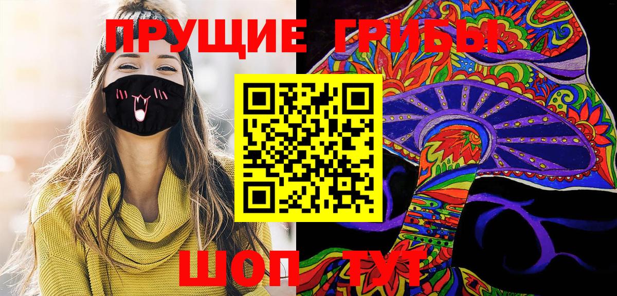 Псилоцибиновые грибы GOLDEN TEACHER Пятигорск